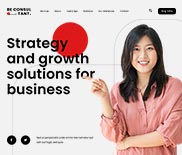 consultant2