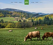BeEco Beef